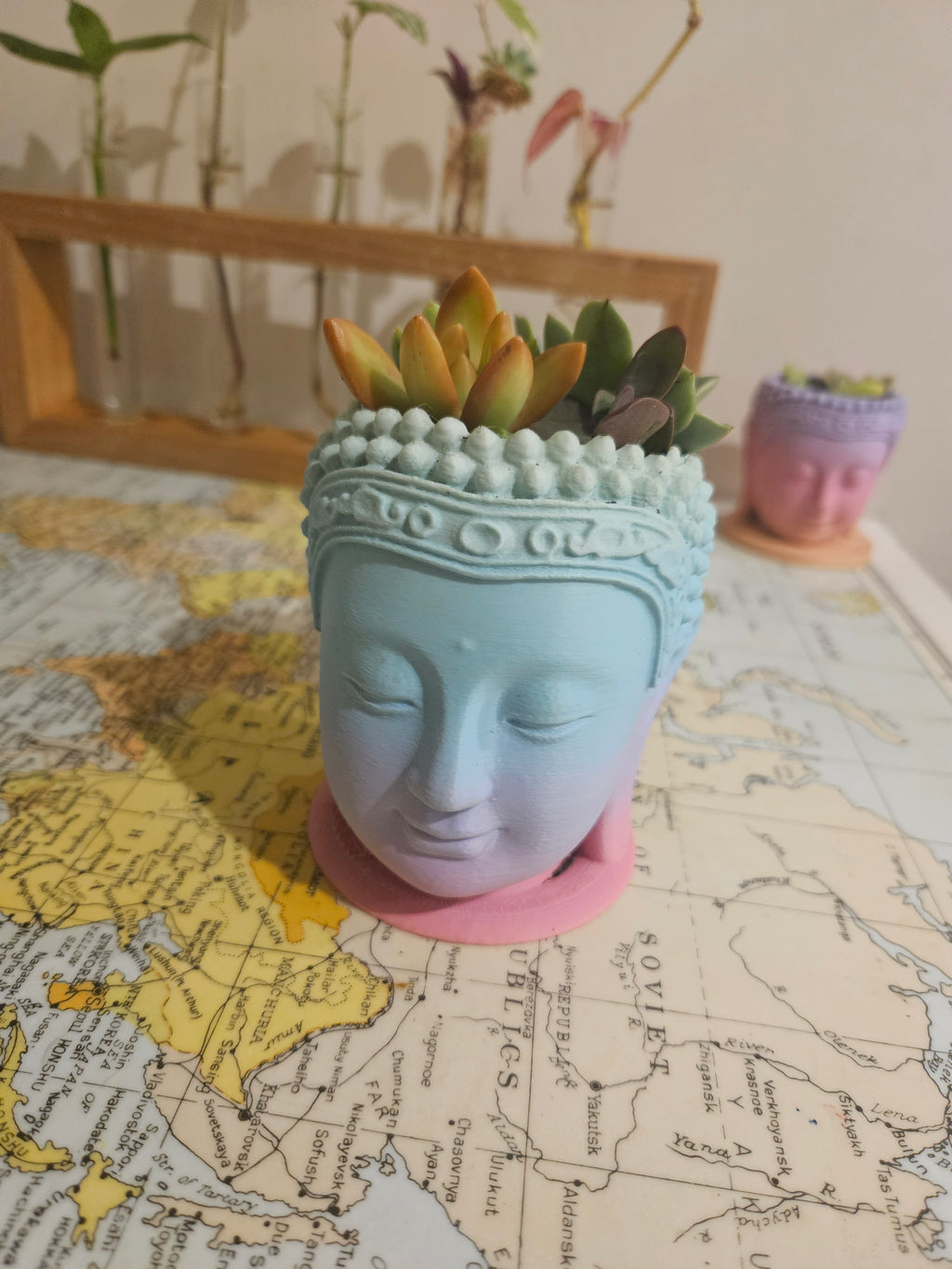 Small buddha pots
