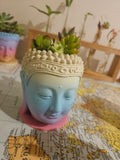 Small buddha pots